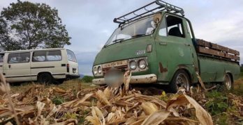 Classic Toyota Pick Up Truck